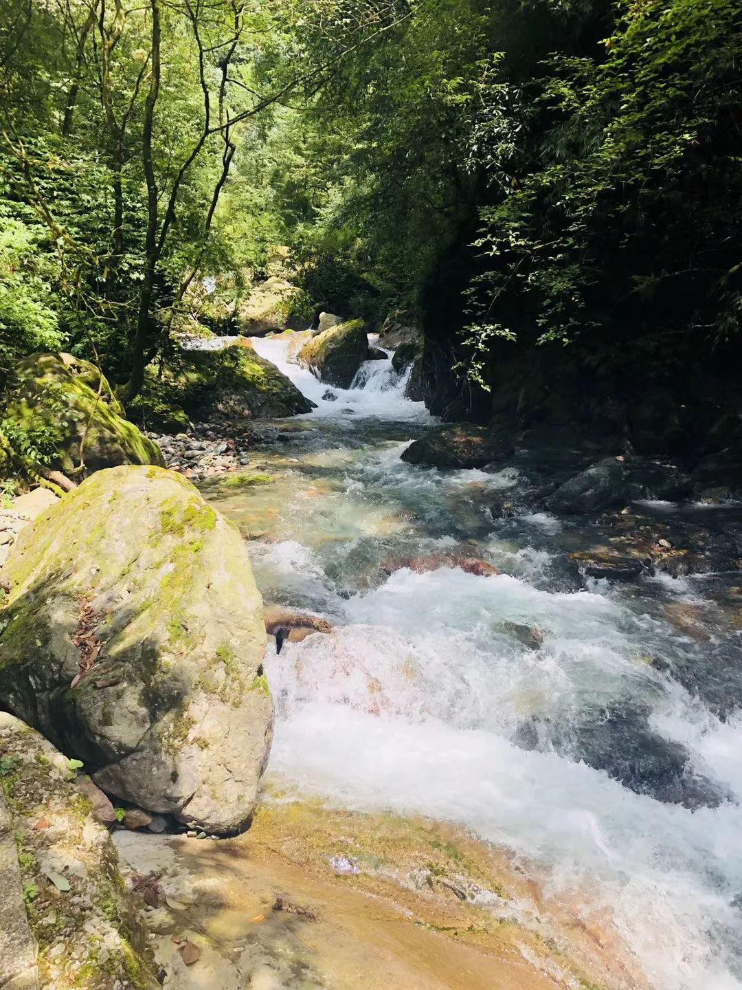 沪江开心词场